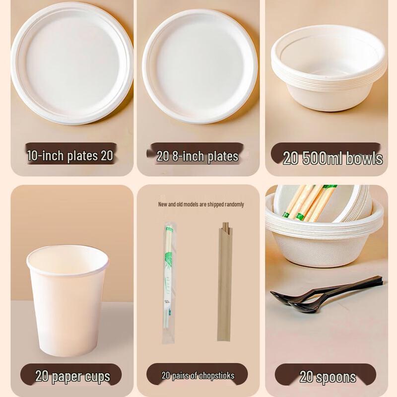 Biodegradable Disposable Tableware Set