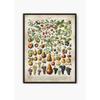 Vintage Antique Book Wall Art Plant Illustration Medicinal Herb Fruit Seaweed Tree Mushroom Canvas Painting Home Decor Gift