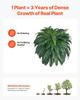 Artificial Boston Fern Large Plastic Fern 88 Branches Indoor Outdoor Decor