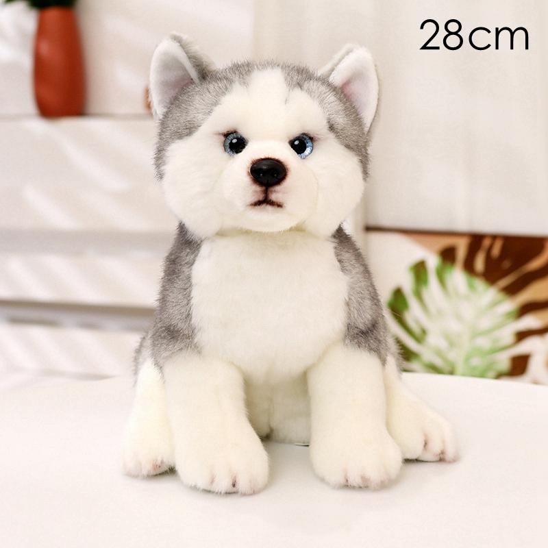 Lifelike Realistic Doggy Soft Figures Corgi Bulldog Pomeranian Filled Pet Cuddly Beast Items House Ornament Tots Birthday Treat