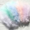 150 Pcs Natural Feathers Small Floating Colourful Feather Plume for Craft Wedding Jewelry Home Decoration Plumes
