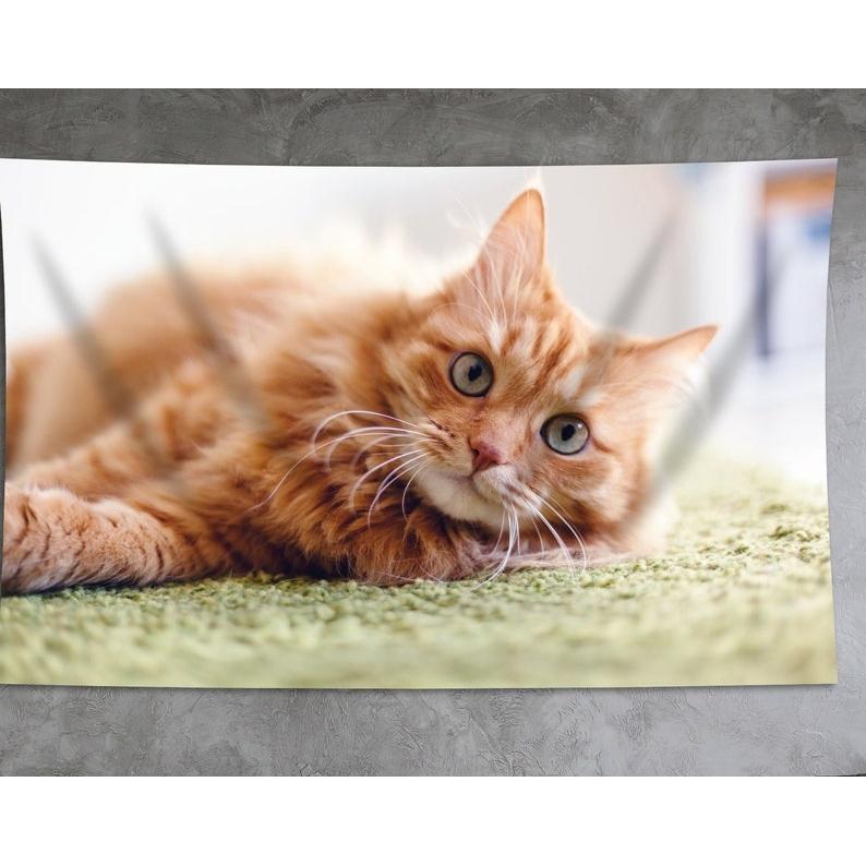 Pet photos tapestry
