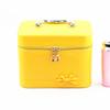 Large Capacity 2024 Summer Women's Cute Korean Makeup Bag - Multifunctional Storage Case