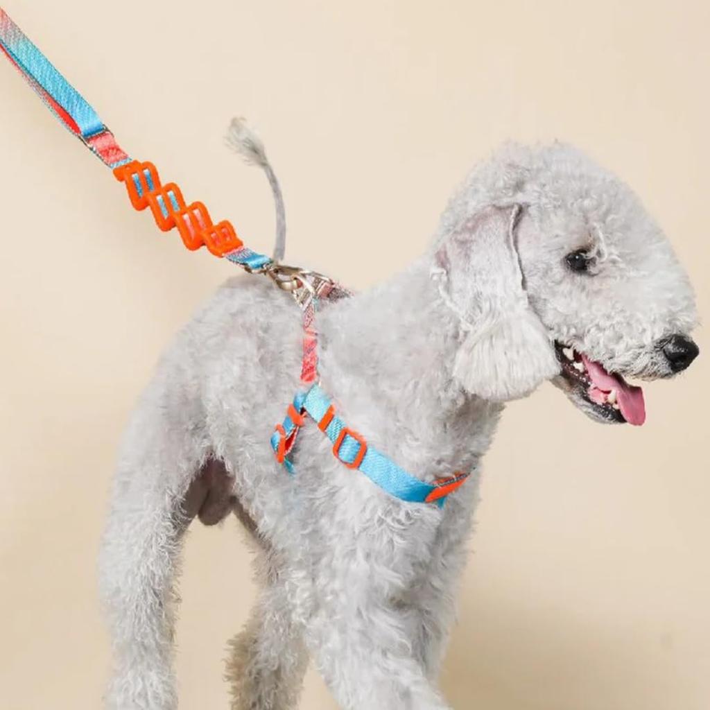 Dog Harness for Small Easy To Put On and Take Safe for Size S Circumference Dogs, Adjustable, Off, Lightweight, Comfortable, Durable, Anti-Pulling,