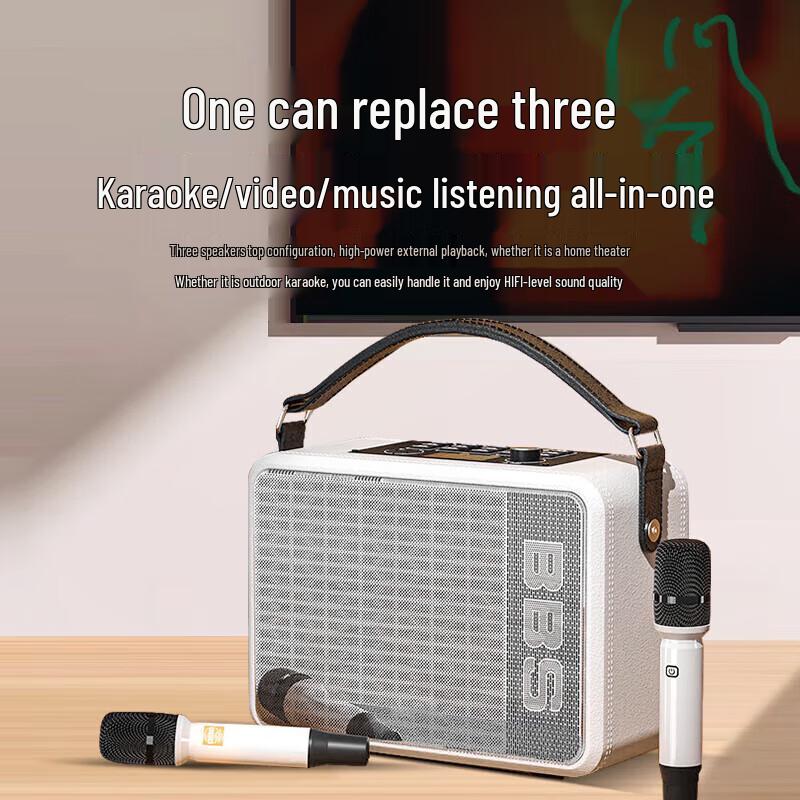 BBS P6 Portable KTV Speaker