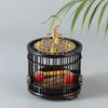Insecte – Terarii pentru insecte