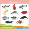 Childrens Marine Animal Clownfish Starfish Crab Shell Model Set Pvc Realistic Ocean Creatures For Educational Play And Learning