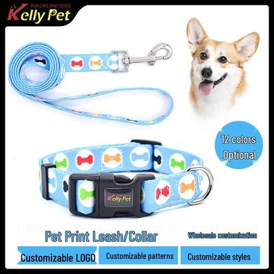 Cani – Collari e guinzagli per cani
