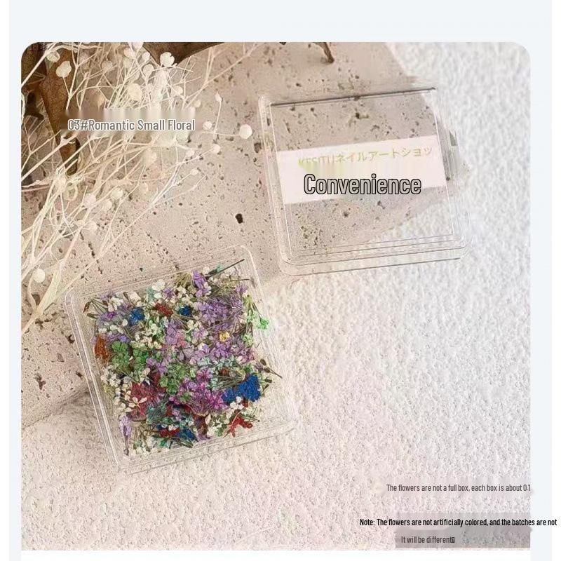 Japanese Fresh Dried Flower Nail Art Decorations: Colorful Petals & Mixed Materials for DIY