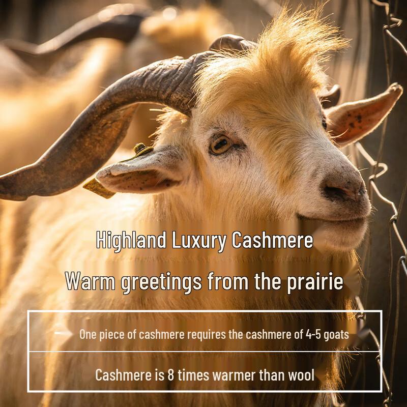 Hengyuanxiang Women's V-Neck Cashmere Sweater