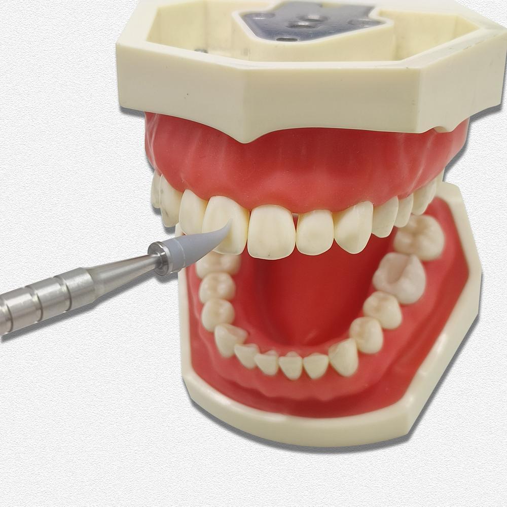 1 set de pensule din rășină dentară, mâner din oțel inoxidabil, modelare, cap moale din silicon, instrumente adezive pentru ciment compozit din porțelan