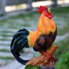 Jardinagem e paisagismo – Decoração de jardim
