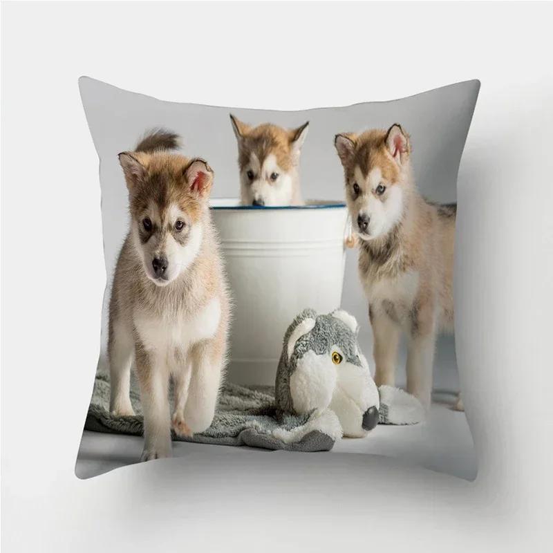 Cuscini decorativi con stampa Pug Dog Federa Fodera per cuscino in poliestere Cuscino decorativo per divano Decorazione del soggiorno Federa