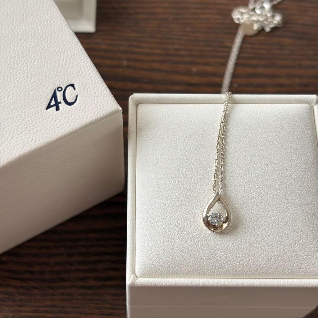 Used [4] Eternal silver necklace