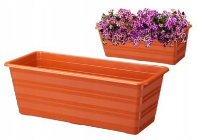 עיצוב הבית – עציצים דקורטיביים