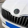 DDWO5 3Pcs for Skoda Rapid Octavia Fabia Laura Superb 1 2 3 Kodiaq Karoq Car Front Hood Rear Trunk Emblem Steering Wheel Logo Sticker