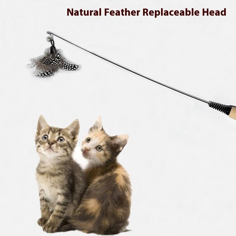 CFA competition-grade wooden handle cat teaser stick feather bell removable replacement head cat toy durable scratch-resistant pet toy