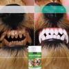 Pet Tooth Powder Can Improve Tooth Cleanliness and Provide Delicate Cleaning