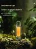 Portable Rechargeable Outdoor Camping and Emergency Light - Long-Lasting Tent Ambiance Flashlight.