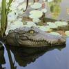 Resin Crocodile Head Figure Animal Figurines Water Pond Decoy Crocodile Head Floating Pond Ornament Creative Floating