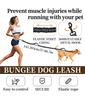 Waist Dog Hands Free Dogs Leash, Waist Running Leash with Zipper, Walking Pouch for Dog Walking, Reflective Dual Padded Handles