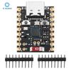 TYPE-C ESP32-H2 Development Board Microcontroller Programming Learning Controller Core Board ESP32-H2 Expansion Board