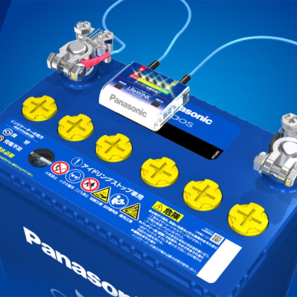 Panasonic LifeWINK N-LW/P6 Auto-Lebensbestimmungseinheit