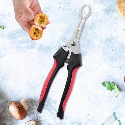 Pince Aubépine Enlève-Noyau de Fruits Pratique Séparateur Polyvalent, Acier Inoxydable pour