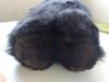 [USED] Vintage teddy bear, plush toy, retro