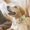 Martingale Dog Collars with Stainless Steel Chain, Reflective No Pull Walking Training Collar with Quick Release Buckle, Adjustable Slip Chain Nylon
