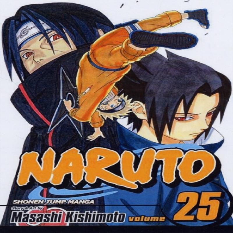 Naruto Vol. 25 by Masashi Kishimoto Paperback Book 9781421518619