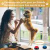 Sprachaufnahme-Button 4 Farben, Hundeknöpfe für Kommunikation Haustiertraining Summer, 30 Sekunden Aufnahme & Wiedergabe, für Familienspiele und Quizabende
