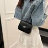 IELGY Fashion Simple Solid Color Chain Messenger Bag Korean Version All-Match Texture Small Square Bag