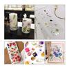 36pcs Dried Flowers Dried Pressed Flowers Leaves Authentic Natural DIY Color Candle Decoration Resin Jewelry Pendant Handicrafts Art Nail Phone Case