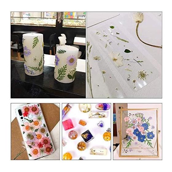 36pcs Dried Flowers Dried Pressed Flowers Leaves Authentic Natural DIY Color Candle Decoration Resin Jewelry Pendant Handicrafts Art Nail Phone Case