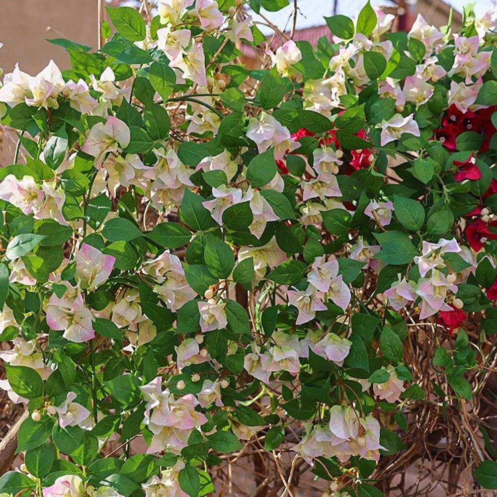 Multicolor Bougainvillea Artificial Flower Vine Green Leaves Hanging Decoration Artificial Flower Ornament DIY