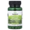 Full Spectrum® Chaga Mushroom, 400 Mg, 60 Capsules