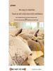 Velvet Fleece Bedding Set: Four-Piece Plush Student Dorm Winter Set