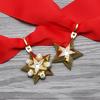 Conjunto de Medalha e Broche de Marechal Estrela de Ouro Soviética em Estoque