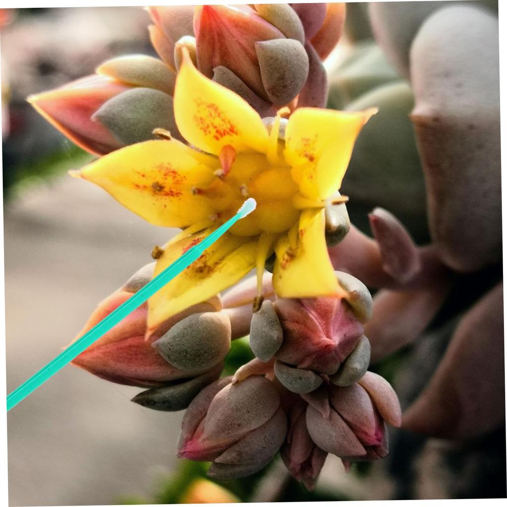 SUPVOX 100pcs Plant Pollinator Pens Artificial Pollinators Pollinator Chalk Paint Brushes Pollinator Dusters Pollinator Hand Tools Plant Plastic