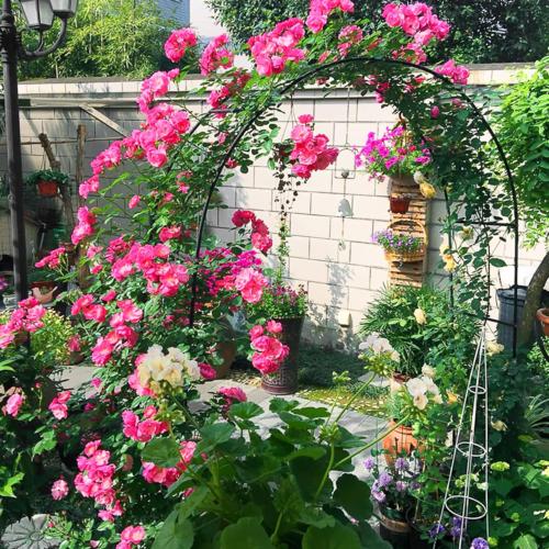 Florence Garden Arch Trellis 7.9 ft Metal Climbing Plant Arch