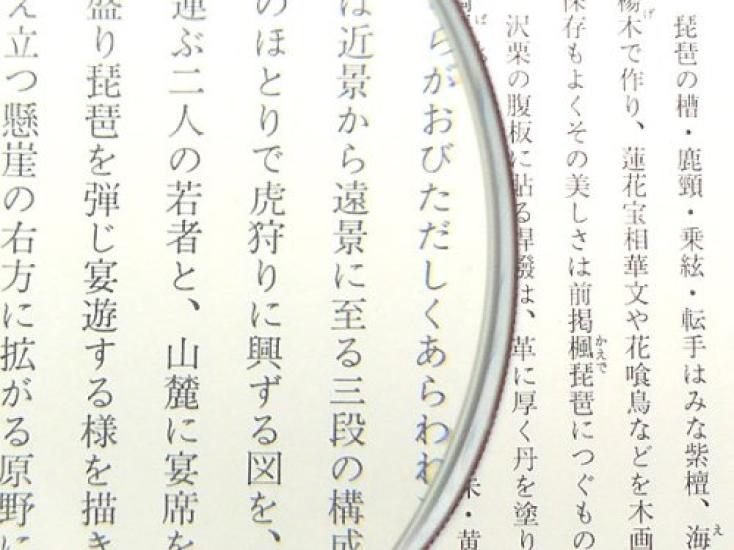 Clear Optics Handheld Magnifying Glass with 2.5x Magnification, 90mm, R-90