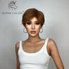 BLONDE UNICORN 8 inch Short Straight Hair Wigs for Women Ladies Ombre Brown Heat Resistant Synthetic Wigs