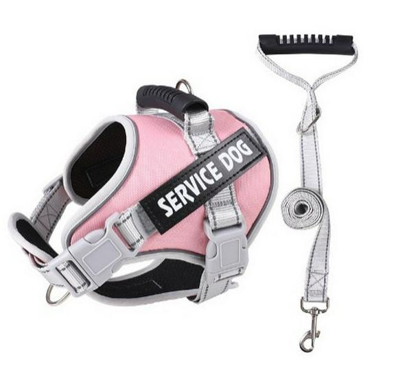 Reflektierende Atmungsaktive Hundeleine & Geschirr - Explosionsgeschütztes Design