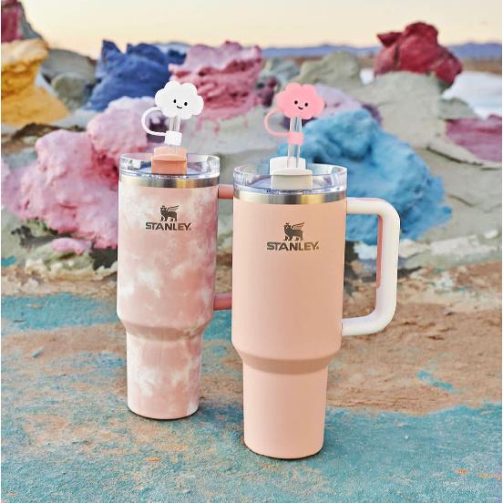 10mm Straw Cover, 6pcs Straw Covers Cap for Stanley Cup 40 oz 30 oz Food Grade Silicone Cute Large Cloud Flower Straw Topper Tips Cover Protector