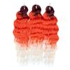 FREEDOM Synthetische Flecht-Haarverlängerungen Tief Gewellt 24 Zoll Lang Lockige Braids Haare Ombre Braun Regenbogen Twist Häkel-Haar