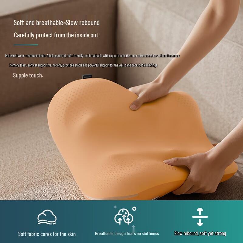 Philips PPM5102B Back Massager