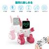 Remote Control Robot Toy, Kids' Gift, Talks, Moves, Sings, Dances, Records, Humanoid Robot, Electronic Toy, USB Charging, Robot, Graduation, Entrance