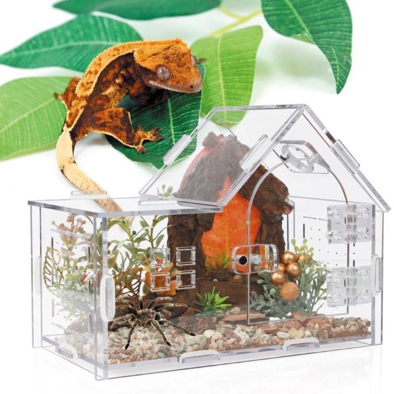 Reptilien Terrarium für Springspinnen Schlange Mit Klarem Beobachtungsdesign Und Sicheren Befestigungen Für Amphibien Lebensräume Box