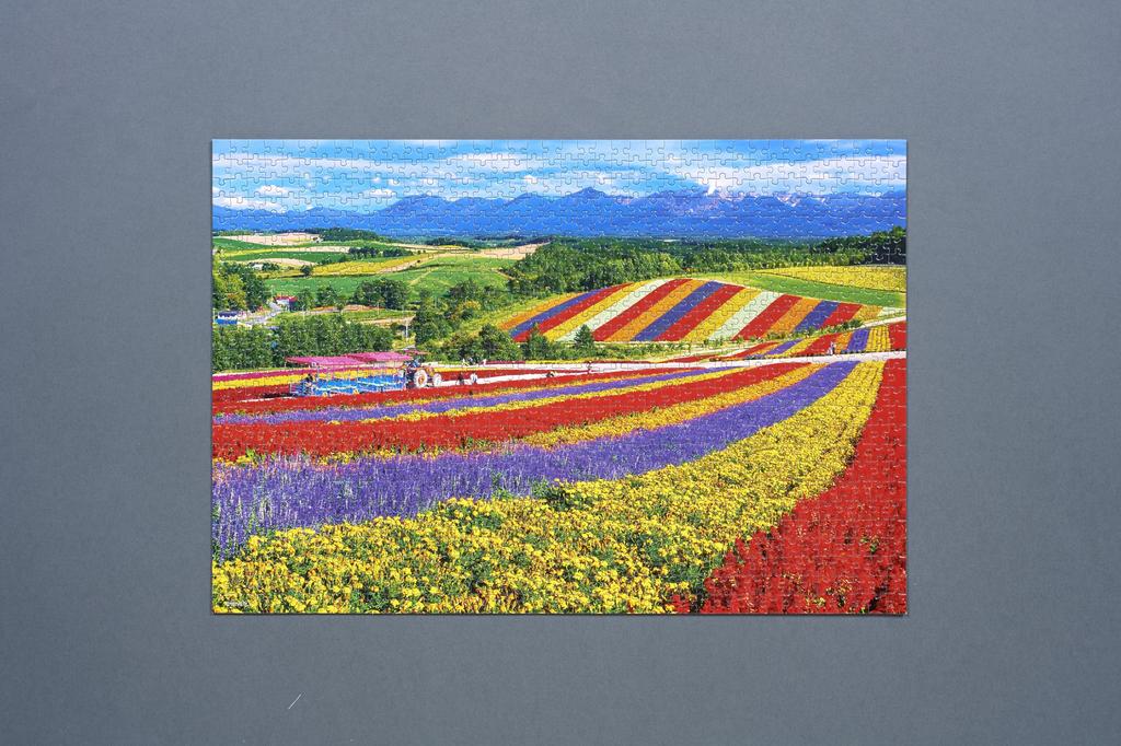 In Beverly 1000 Jigsaw Hills of Biei X 38 [Made Japan] Micro-Piece Puzzle Flower-Blooming (26 Cm) 1000M-014